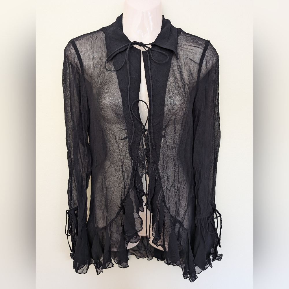 Zara Sheer Ruffled Blouse Small Black